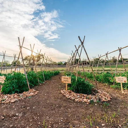 Farm stay Ses Illes